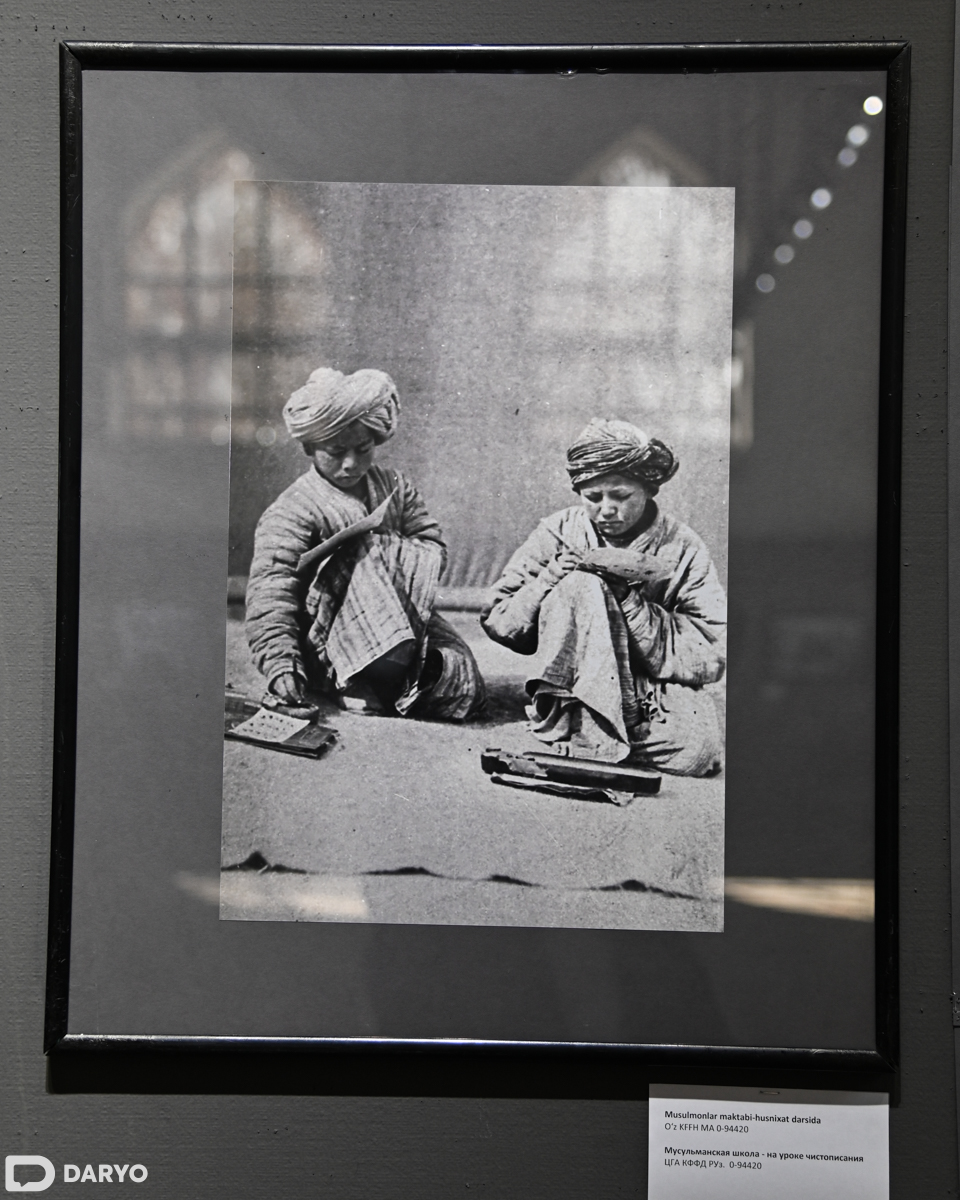 Tarzan jinni porno U guruh pornosidan xijolat tortdi